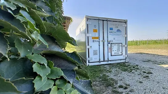 KÜHLLAGERUNG FÜR DEN WEINSEKTOR