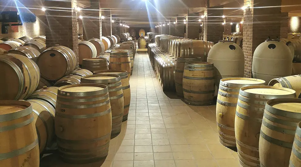 KÜHLLAGERUNG FÜR DEN WEINSEKTOR