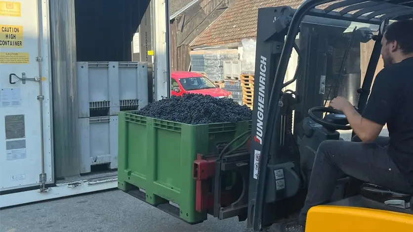 KÜHLLAGERUNG FÜR DEN WEINSEKTOR