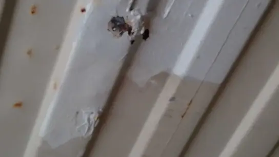 Gebrauchter 40-Fuß-High-Cube-Container zu verkaufen